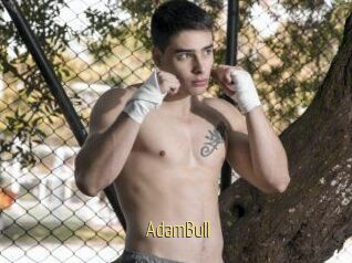 AdamBull