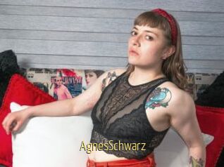 AgnesSchwarz