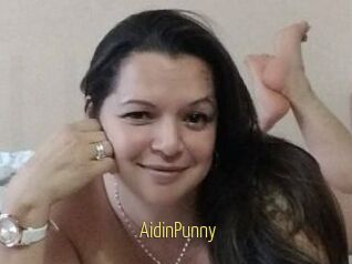 AidinPunny