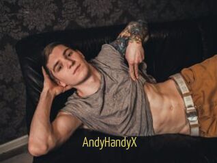AndyHandyX