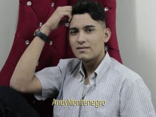AndyMontenegro