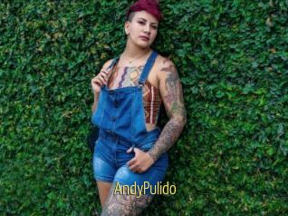 AndyPulido