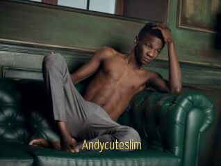 Andycuteslim