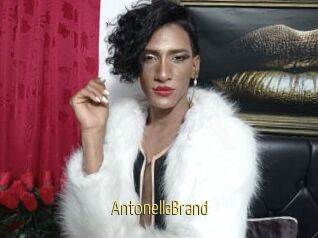 AntonellaBrand