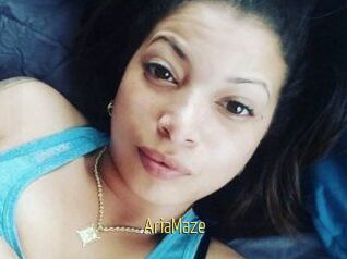 Aria_Maze