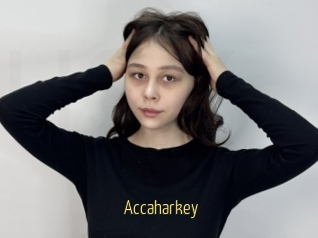 Accaharkey