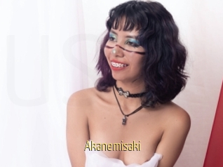 Akanemisaki