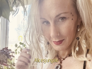 Alicesjungalo