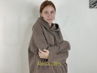 Alodiacollins
