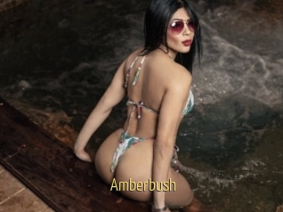 Amberbush