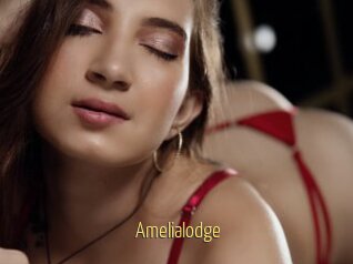 Amelialodge