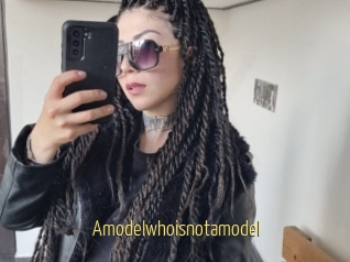 Amodelwhoisnotamodel