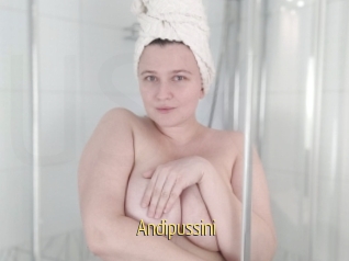Andipussini
