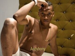 Andybony