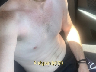 Andypandy999