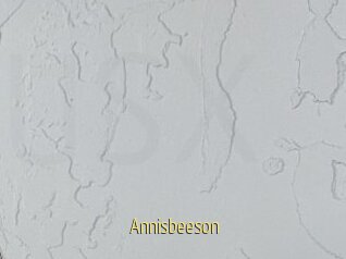 Annisbeeson