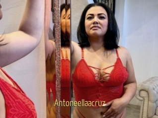 Antoneellaacruz
