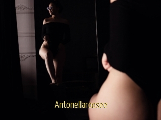 Antonellaroosee