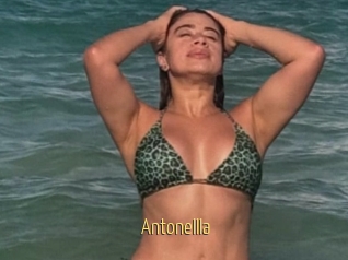 Antonellla