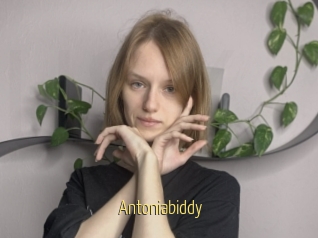 Antoniabiddy