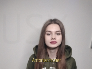 Antoniacordner