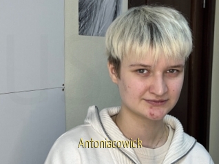 Antoniacowick