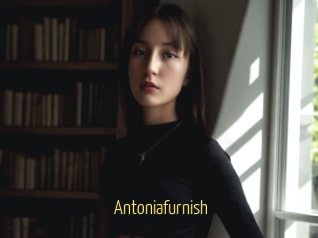 Antoniafurnish