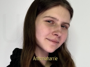 Antoniaharrie