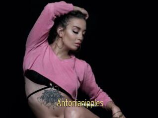 Antonianipples