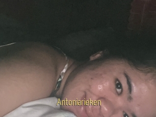 Antoniarieken