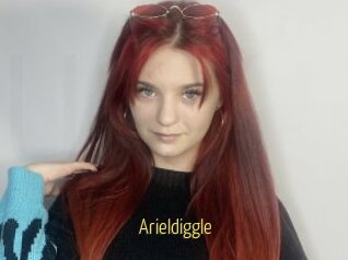 Arieldiggle
