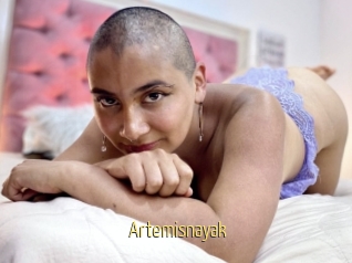 Artemisnayak