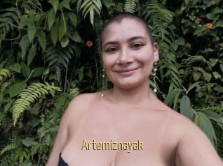 Artemiznayak