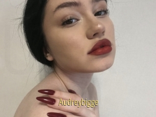 Audreybigge