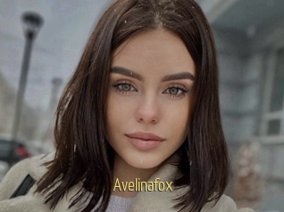 Avelinafox