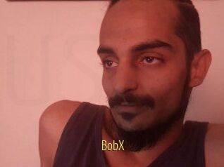 BobX