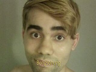 Bongsohung