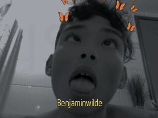 Benjaminwilde