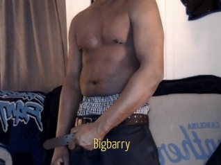 Bigbarry