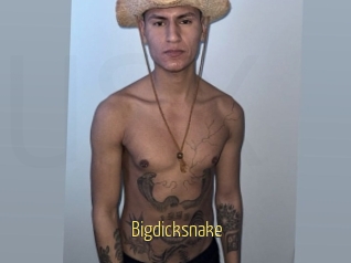 Bigdicksnake