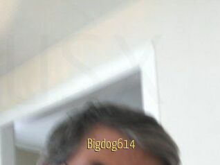 Bigdog614