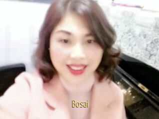 Bosai