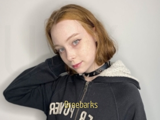 Breebarks