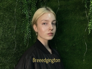 Breeedgington