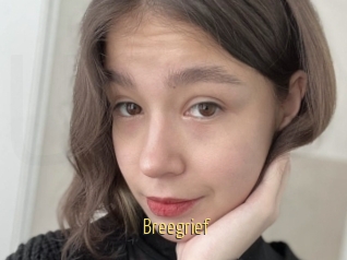 Breegrief