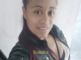 Bushalice