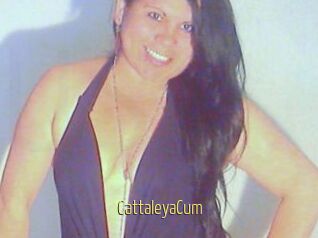 CattaleyaCum