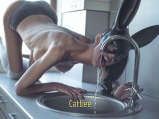 Cattiee