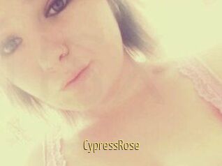 Cypress_Rose