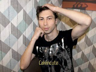Calvincute